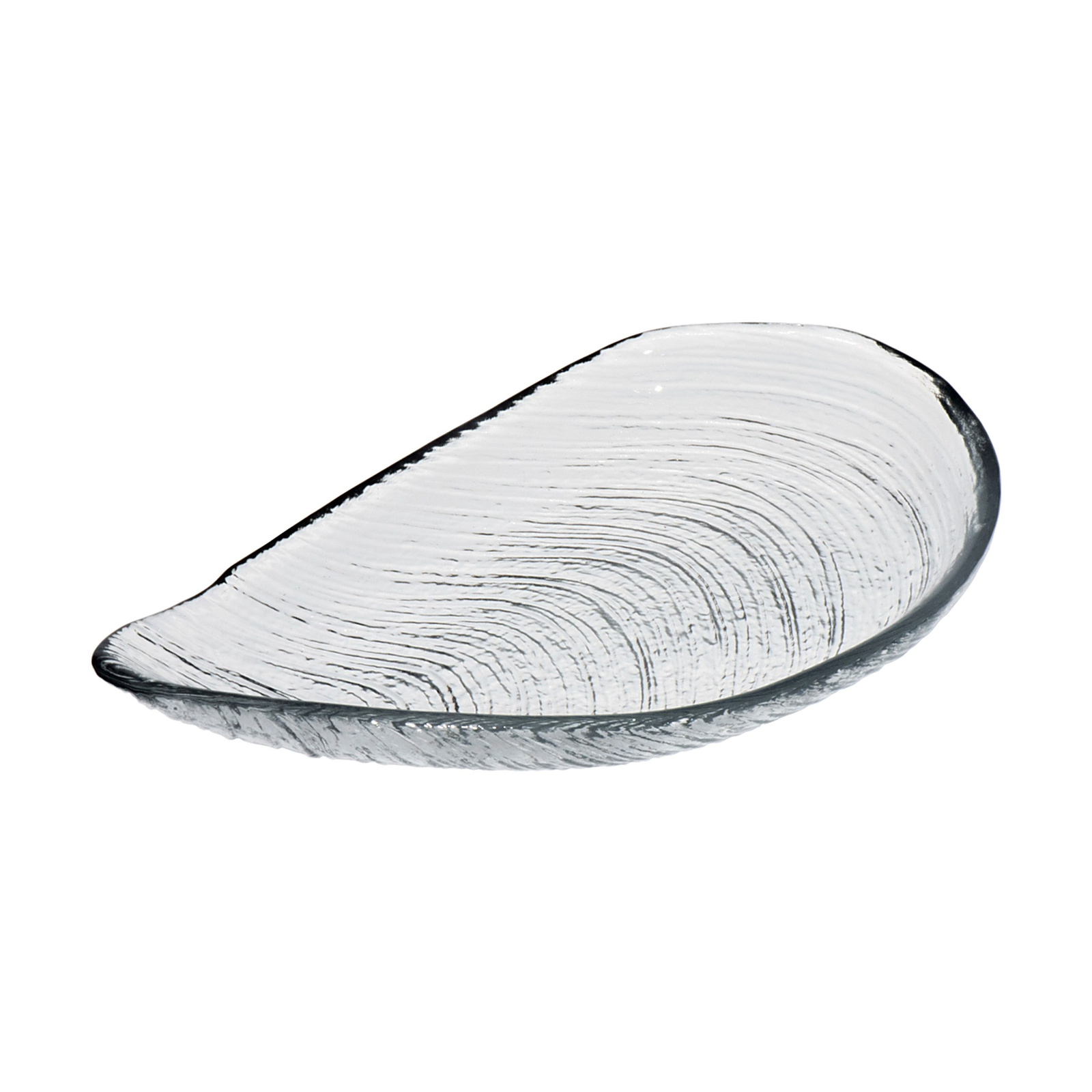 ArdaCam Auster Plate 22.5cm product photo 1