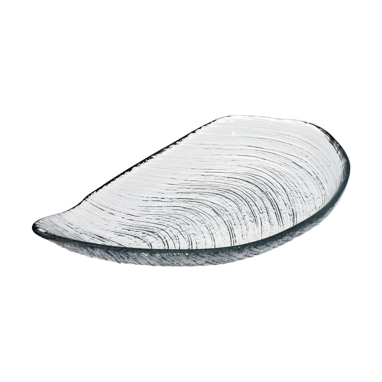 ArdaCam Auster Plate 33cm product photo 1